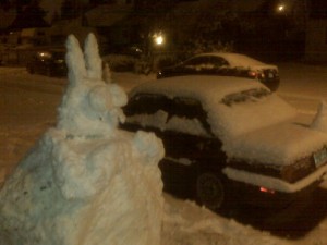 Snow Bunny in Portland Oregon via DEFEND THE CITY