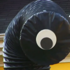 Art That Looks Back at You